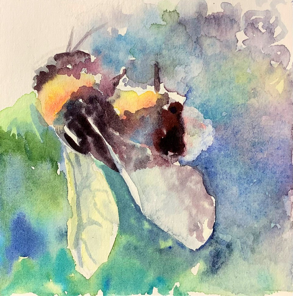 Lesley Rumble Unit13 Painting of a bumble bee, watercolour